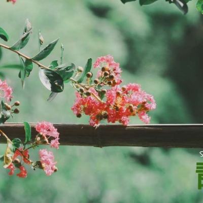 im电竞·(中国)官方网站截图